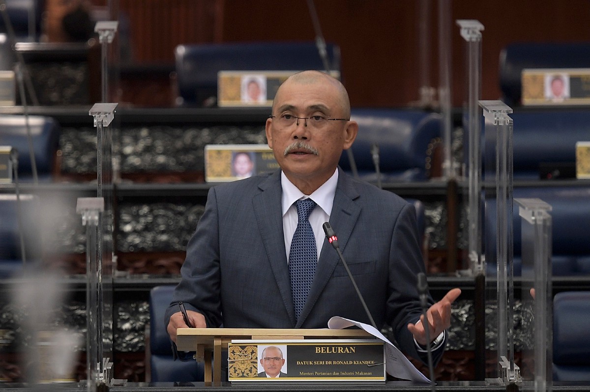 KUALA LUMPUR, 14 Mac -- Menteri Pertanian dan Industri Makanan yang juga Ahli Parlimen Beluran Datuk Seri Dr Ronald Kiandee bercakap pada sesi menjawab perbahasan Mesyuarat Pertama Penggal Kelima Parlimen Ke-14 di Bangunan Parlimen hari ini.

--fotoBERNAMA (2022) HAK CIPTA TERPELIHARA